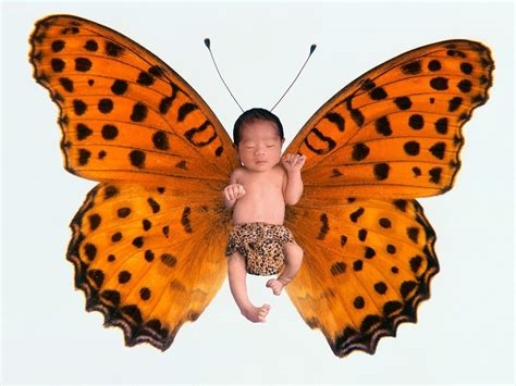 baby_butterfly_of nude