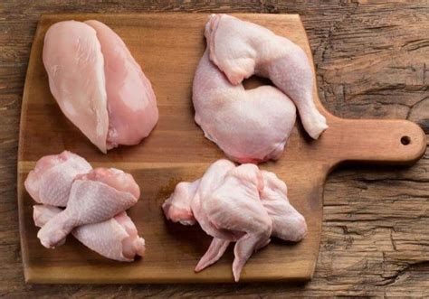 bad chicken girl nude