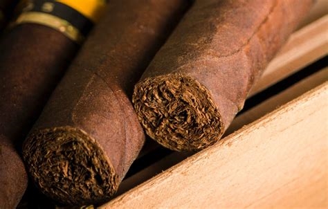 bellhop cigars nude