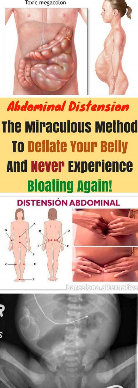 bellydistension nude