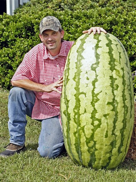 big huge melon nude