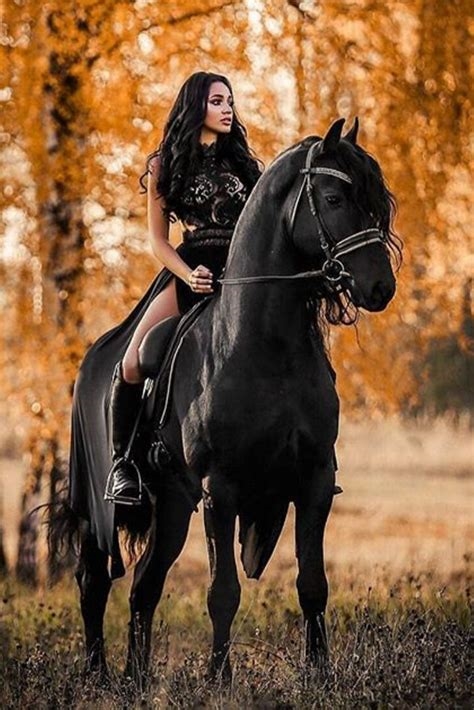 black horse porn nude