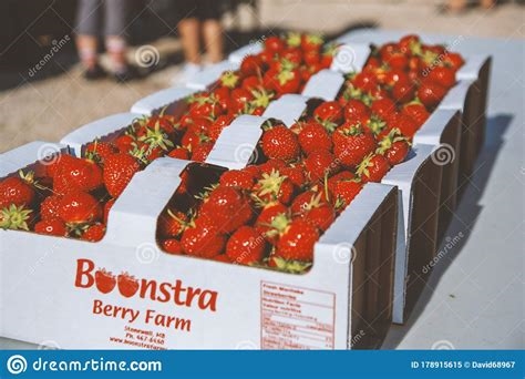 boonstra berries nude