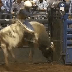 bull riding gifs nude