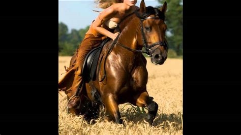 caballo y mujer xxx nude