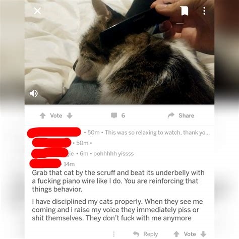 cat abuse reddit nude
