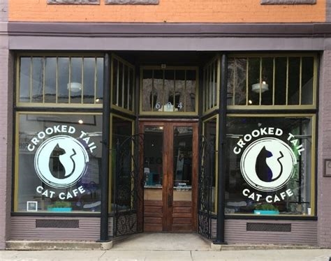 cat cafe greensboro nc nude