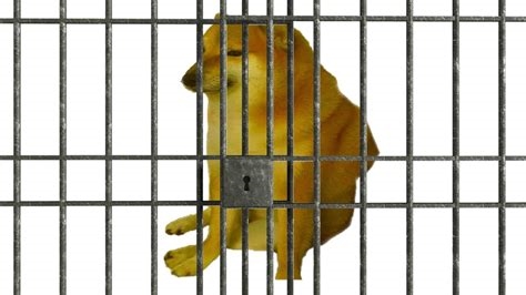 cat in horny jail nude