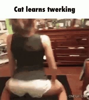 cat twerking videos nude