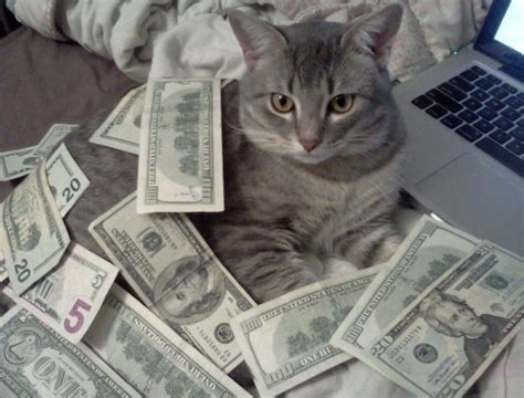 cat_cash_ nude