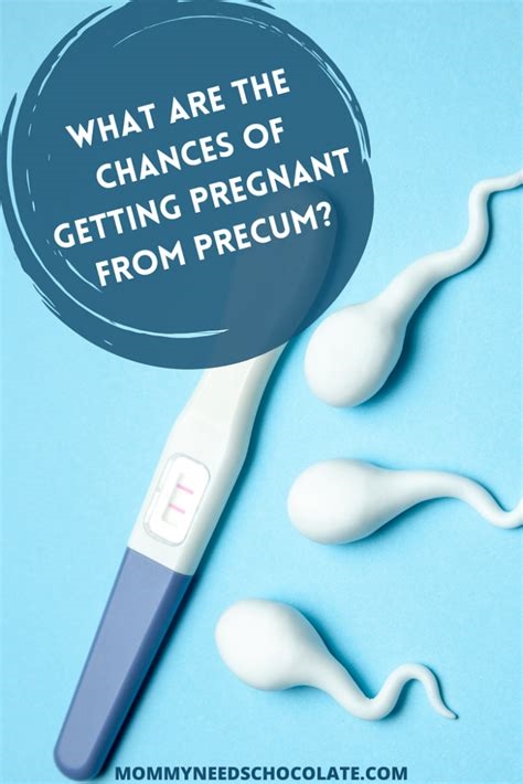 chances of getting pregnant from precum reddit nude