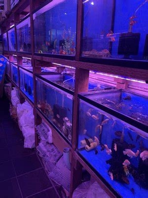 ck aquarium nude