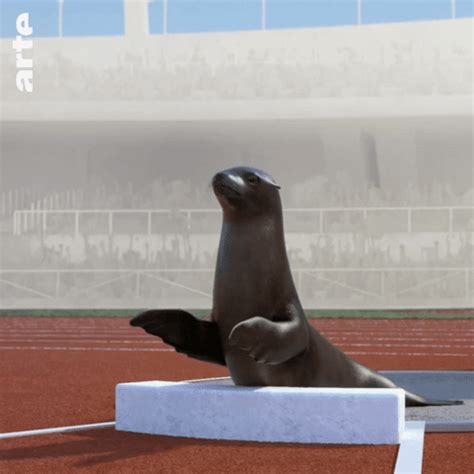clapping seal gif nude