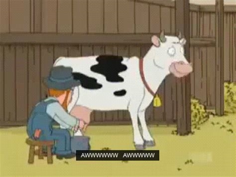 cow milking gif nude