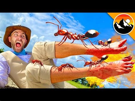 coyote peterson fire ants nude