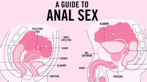 cum in the anus nude