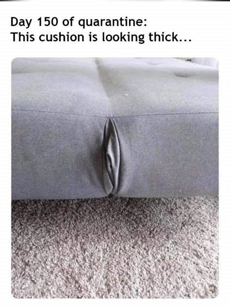 cushion for the pushin meme nude