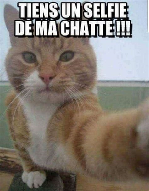 défonce ma chatte nude