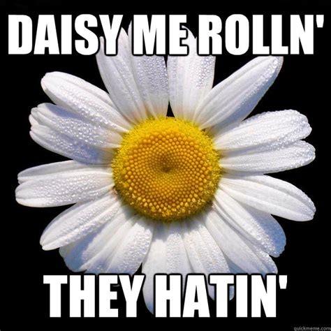 daisy me rollin meme nude