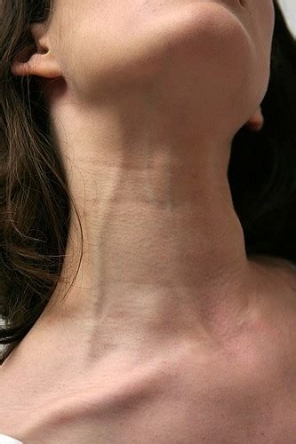 deepthroat neck bulge nude