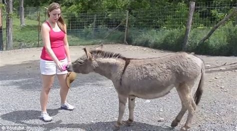 donkey ponkey nude