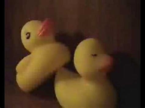 duck porn nude