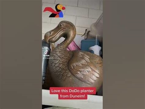 dunelm dodo nude