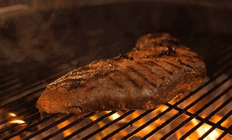 eating meat gif nude