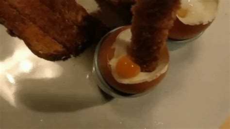 egg laying kink gifs nude