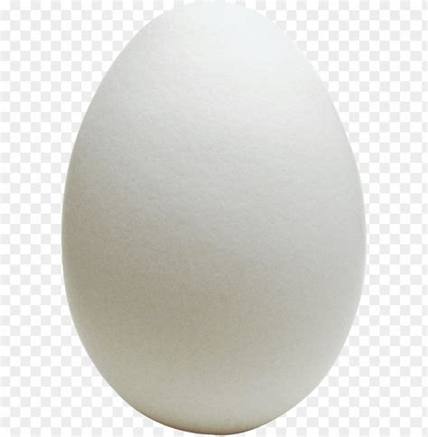 eggs transparent background nude