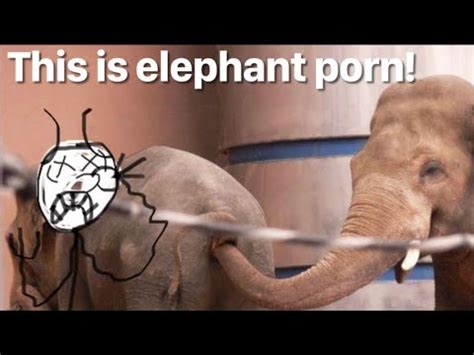 elehant porn nude