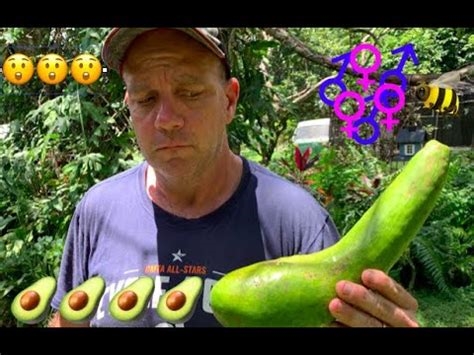elison avocado nude