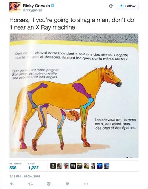 equine penism nude