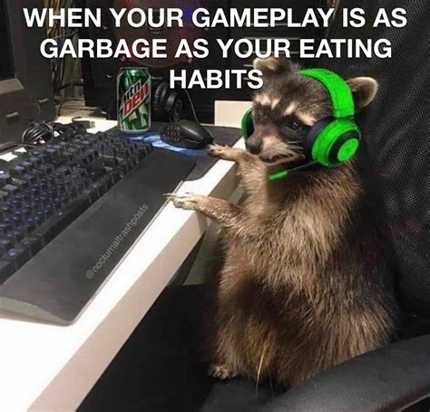 gaming raccoon nude