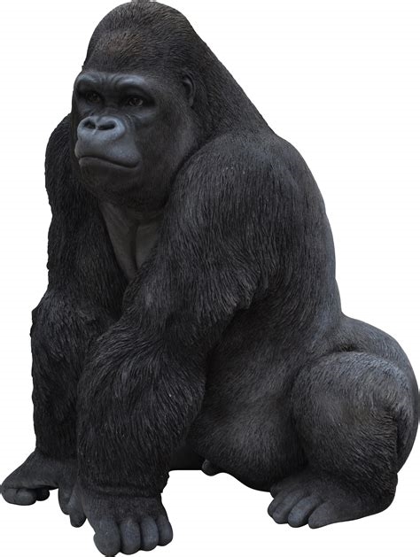 gorilla transparent background nude