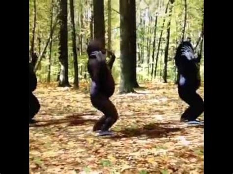 gorilla twerk nude