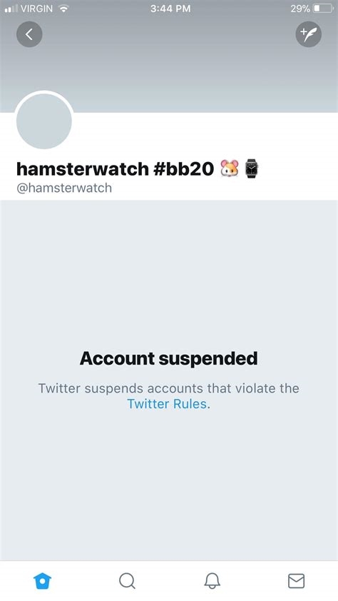 hamster watch twitter nude