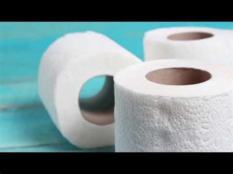 hd supply toilet paper nude