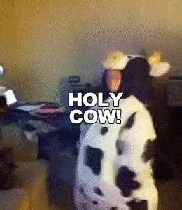 holy cow gif nude