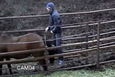 horse asian porn nude