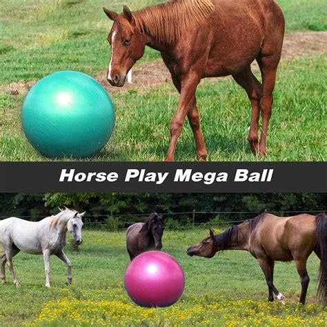 horse balls porn nude