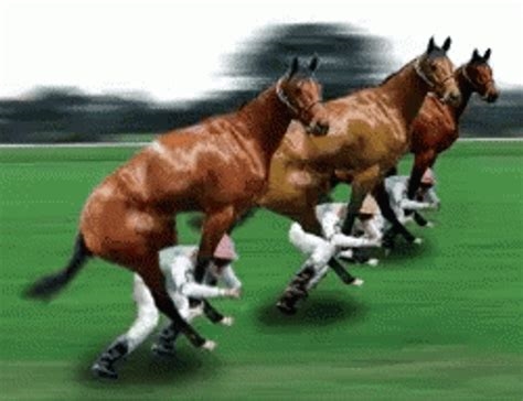 horse gifs nude