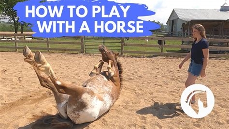 horse play porn nude