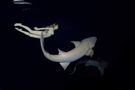 lady sharks nude