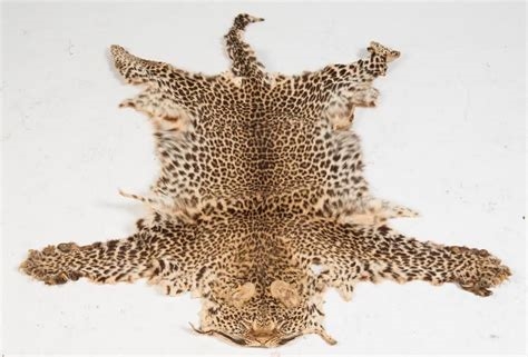 leopard skin nude nude
