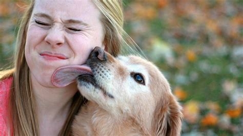 licking dog pussy nude