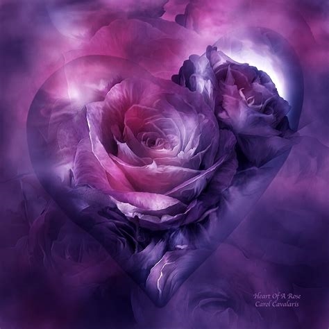 love.purplerose nude