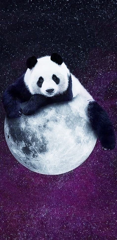 luna panda nude