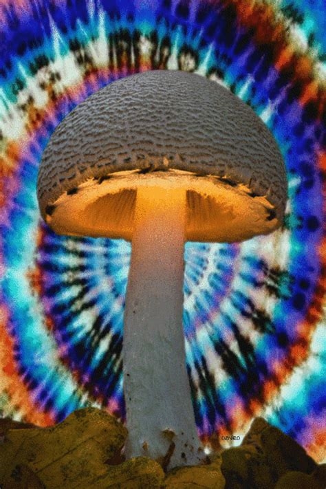 magic mushroom gif nude