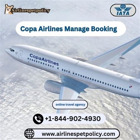 manage my booking copa airlines nude